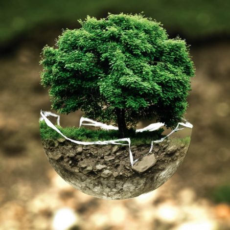 Restons sur Terre