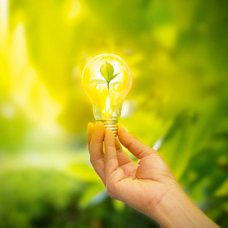 Environnementalement Vôtre