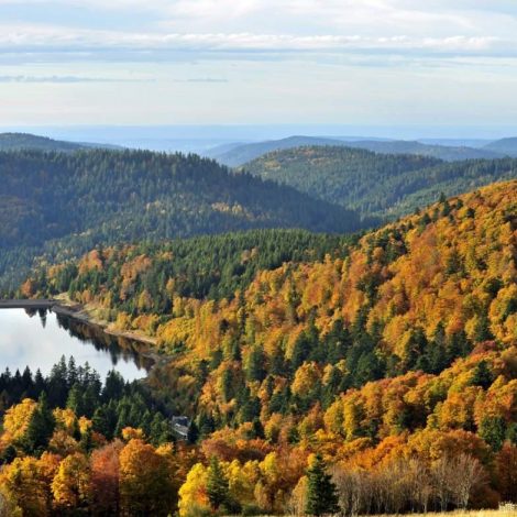 Les Vosges ça me dit