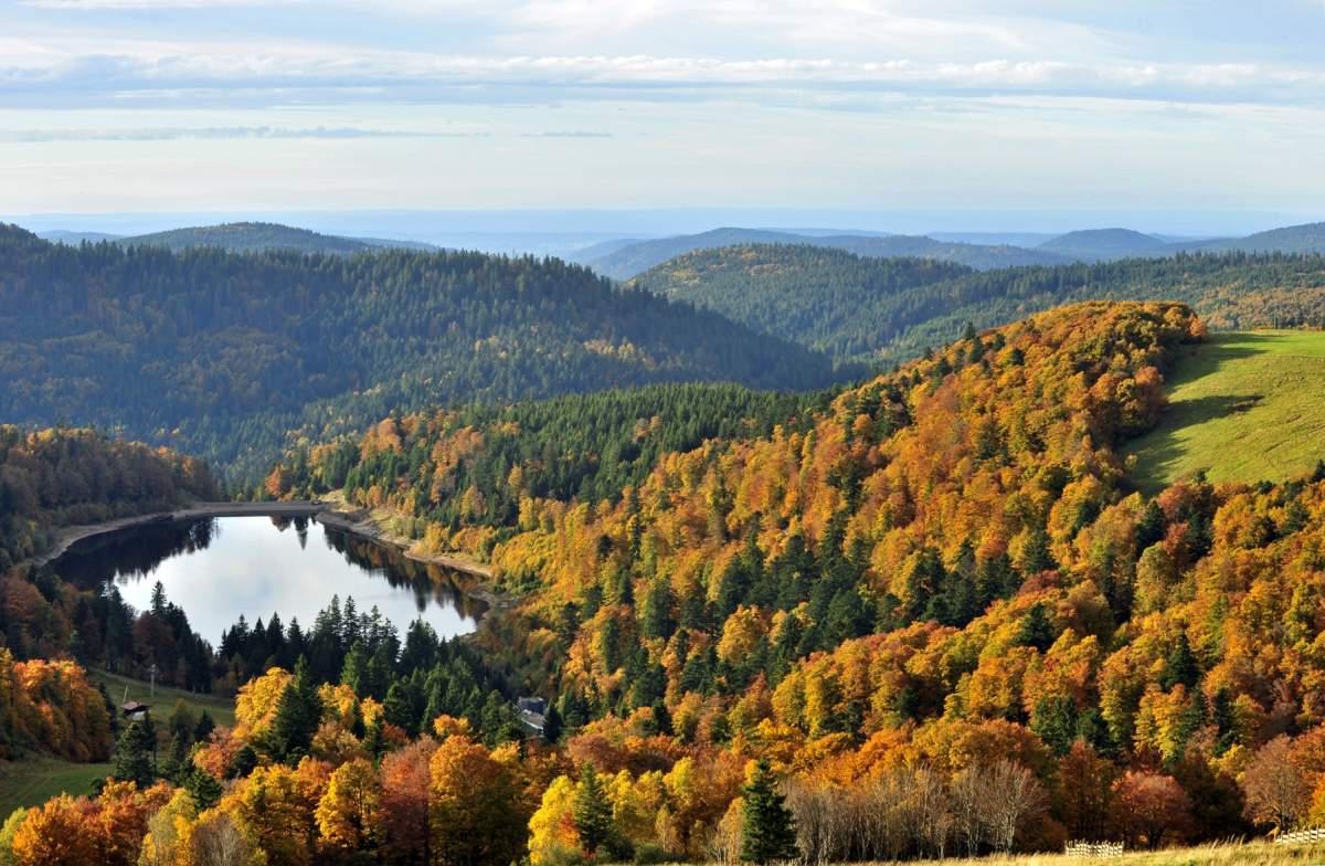 Les Vosges ça me dit