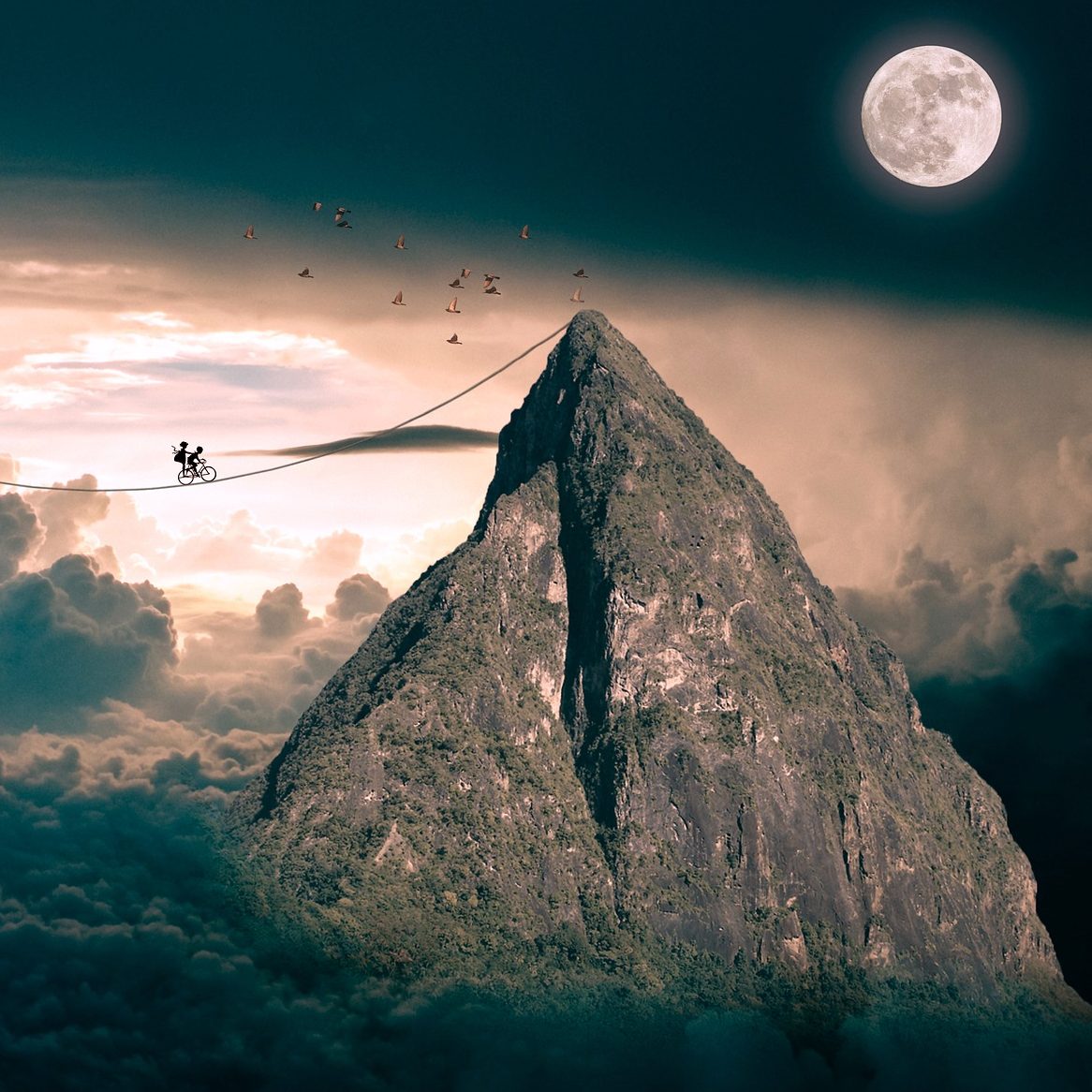 Protégé : Visez la lune
