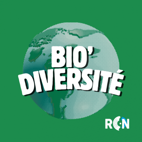 Bio diversité
