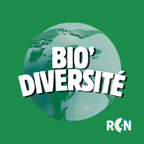 Bio diversité